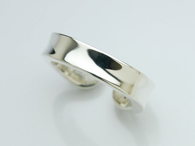 Coin Hole Horseshoe Ring