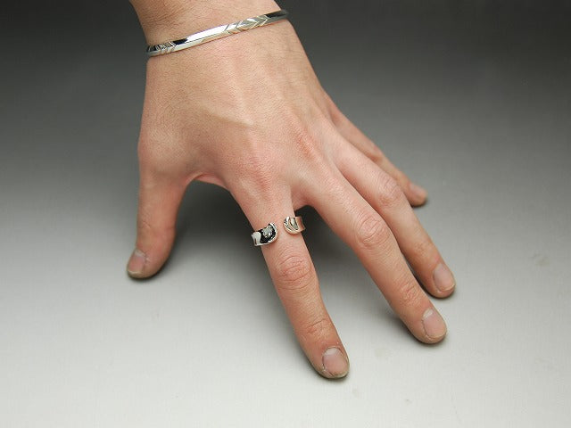 Coin Hole Horseshoe Ring