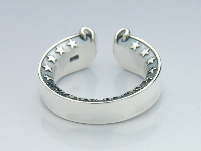 Coin Hole Horseshoe Ring
