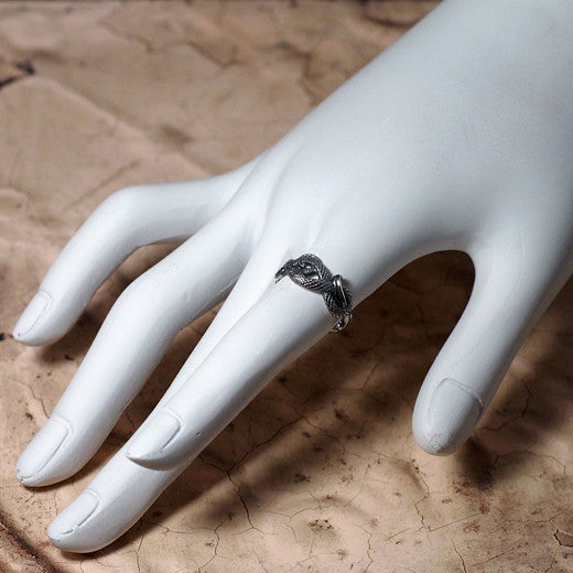 Guardia Medusiana Ring 13