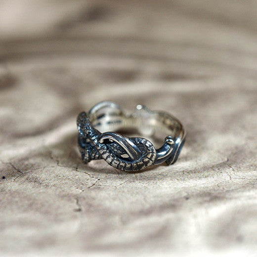 Guardia Medusiana Ring 7