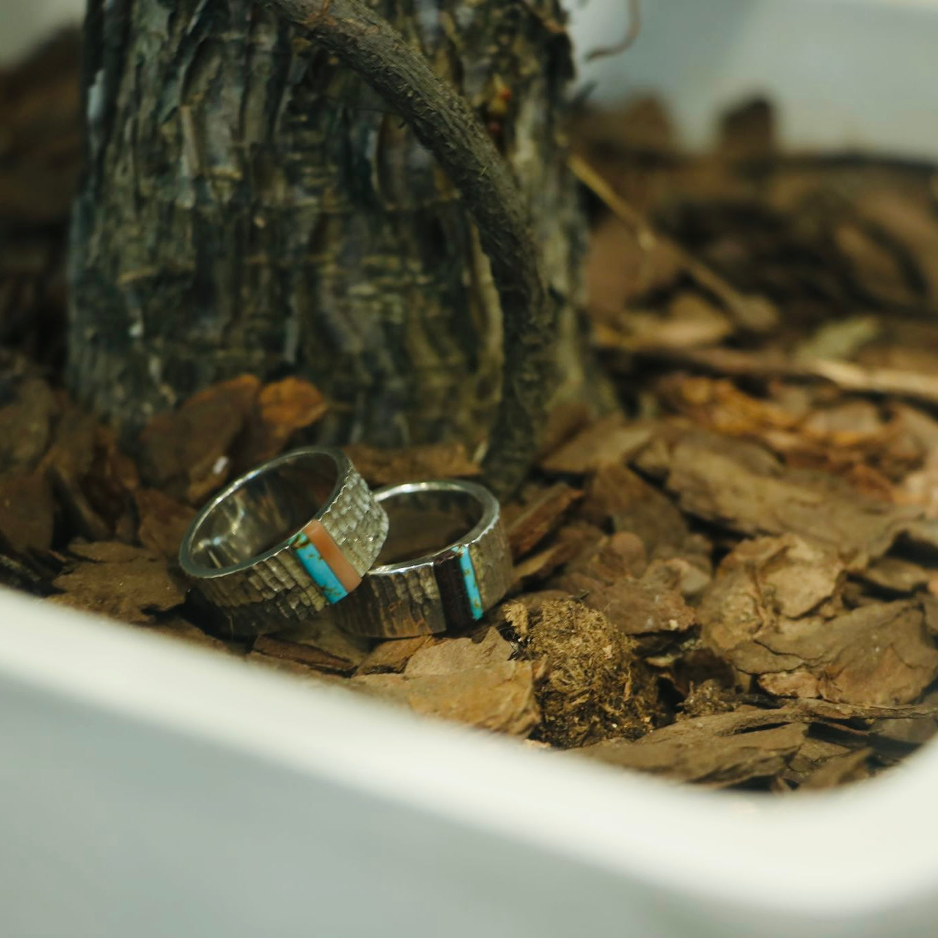 高瀬豪太 Sunshine Studio - 10mm Annual Ring Turquoise inlay_4