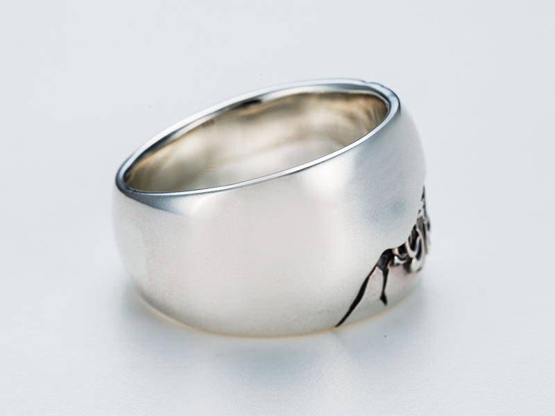 Deal Design - Crack Wide Ring 5