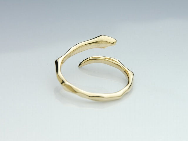 Deal Design - Line Snake 10K Gold Ring 5
