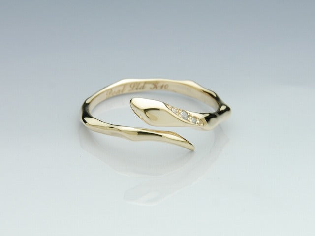 Deal Design - Line Snake 10K Gold with Stone Ring 4