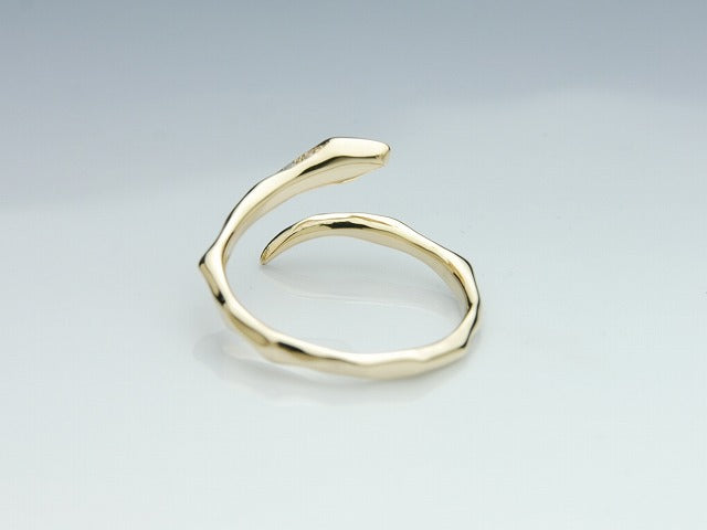 Deal Design - Line Snake 10K Gold with Stone Ring 5