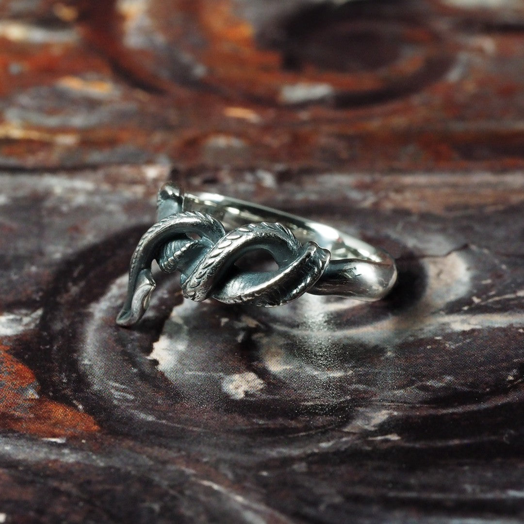 Guardia - Demon's Tail Ring 2