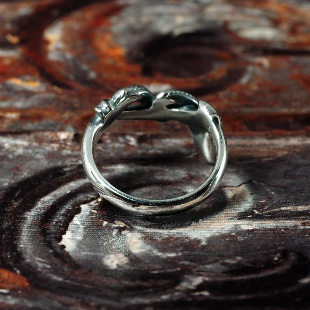 Guardia - Demon's Tail Ring 4