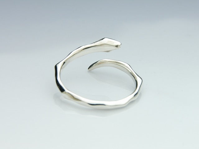 Line Snake with Stone Ring
