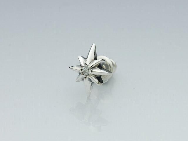 8 Point Star earrings with stone
