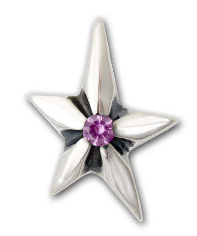 PN978S Shooting Star Pendant with Stones