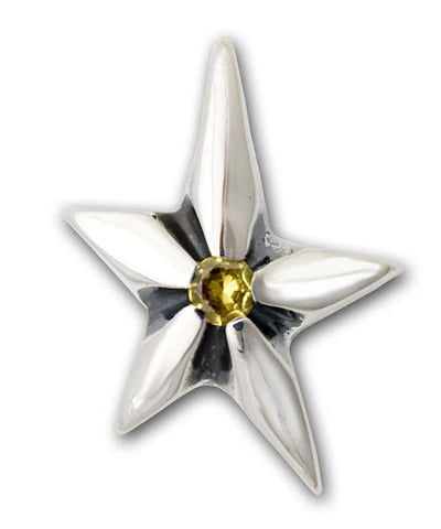 PN978S Shooting Star Pendant with Stones