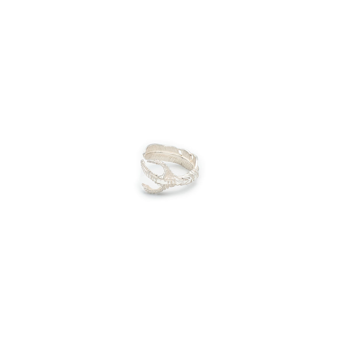 Silver Dollar Craft – Deopuz Silver Dollar Craft – Deopuz