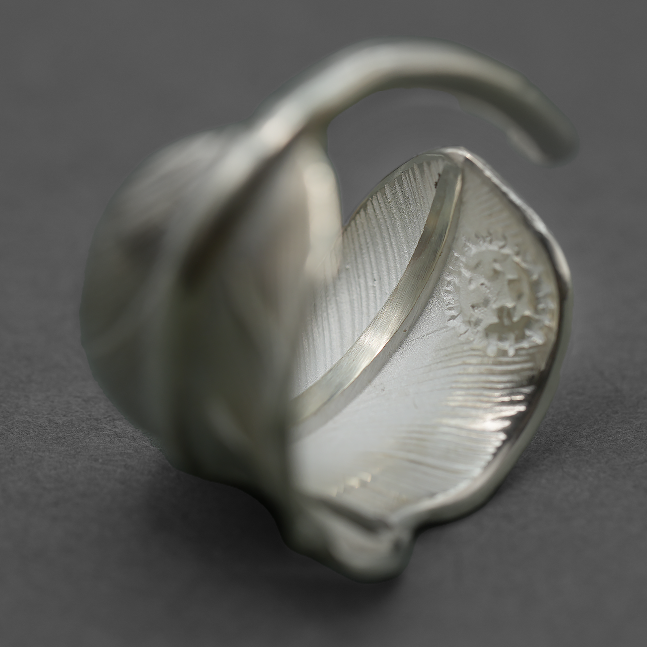 Sunshine Studio 24Kt Gold Point Silver Feather Ring